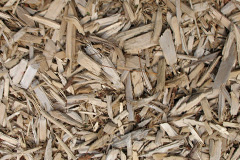 biomass boilers Cunnister
